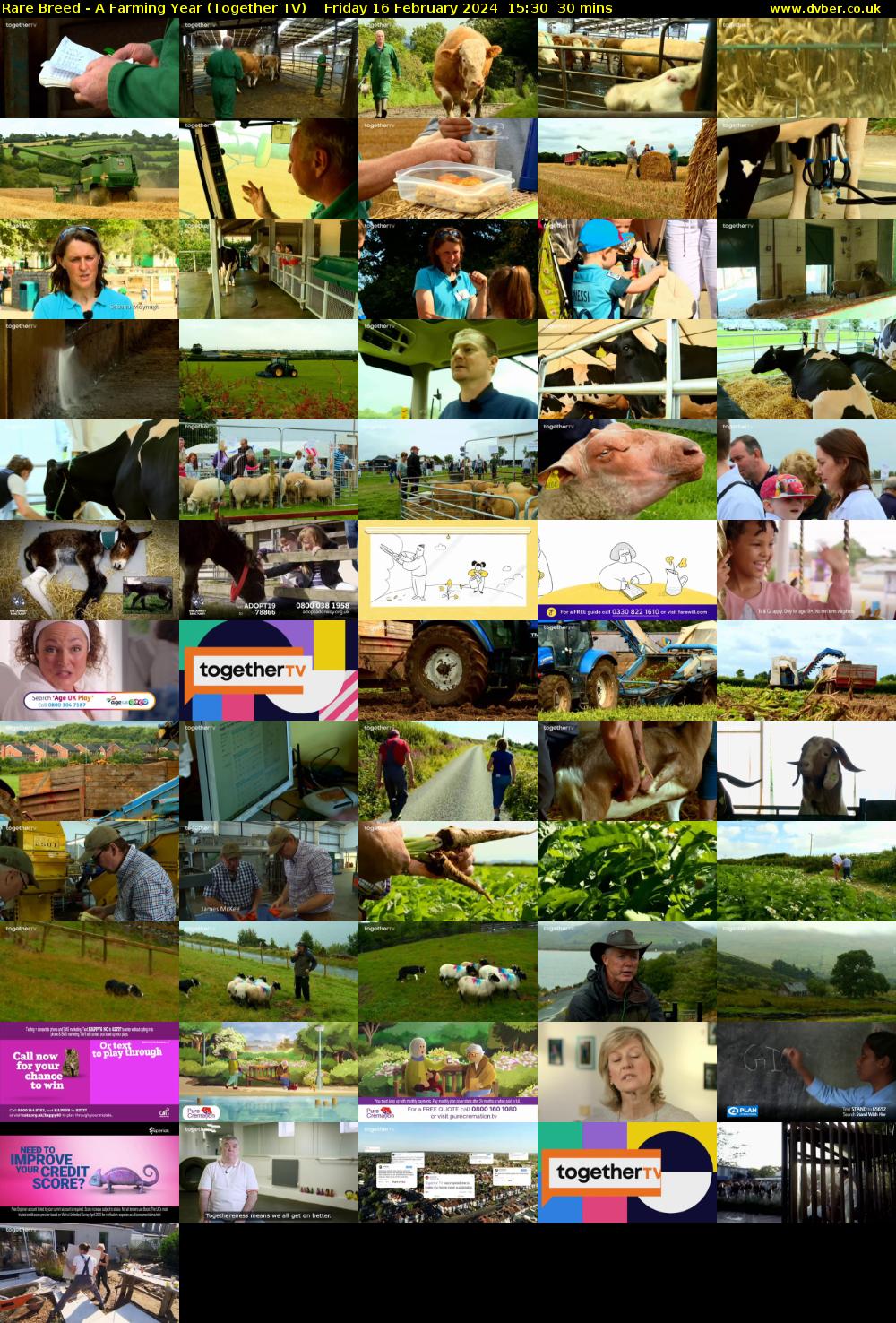 Rare Breed - A Farming Year (Together TV) Friday 16 February 2024 15:30 - 16:00