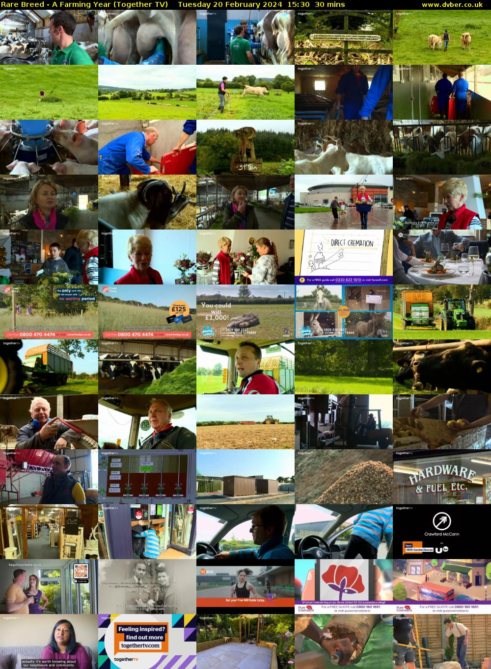 Rare Breed - A Farming Year (Together TV) Tuesday 20 February 2024 15:30 - 16:00