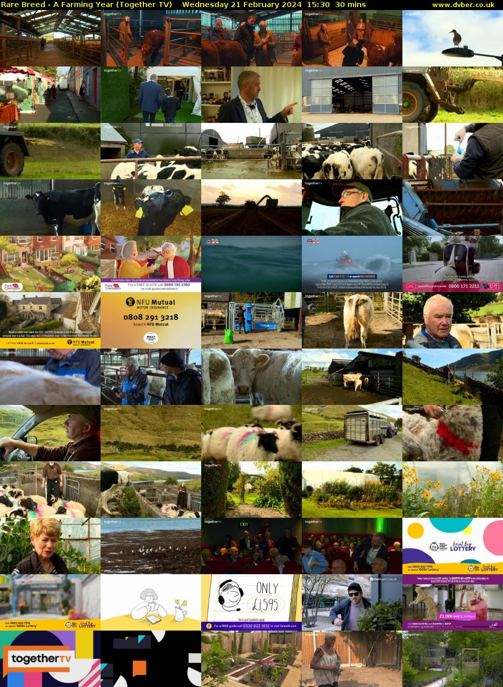 Rare Breed - A Farming Year (Together TV) Wednesday 21 February 2024 15:30 - 16:00