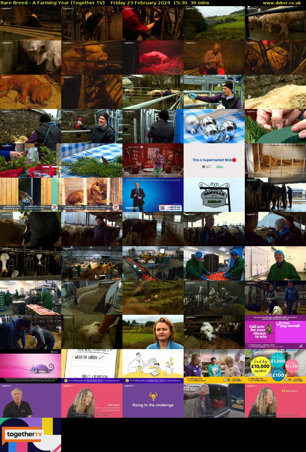 Rare Breed - A Farming Year (Together TV) Friday 23 February 2024 15:30 - 16:00