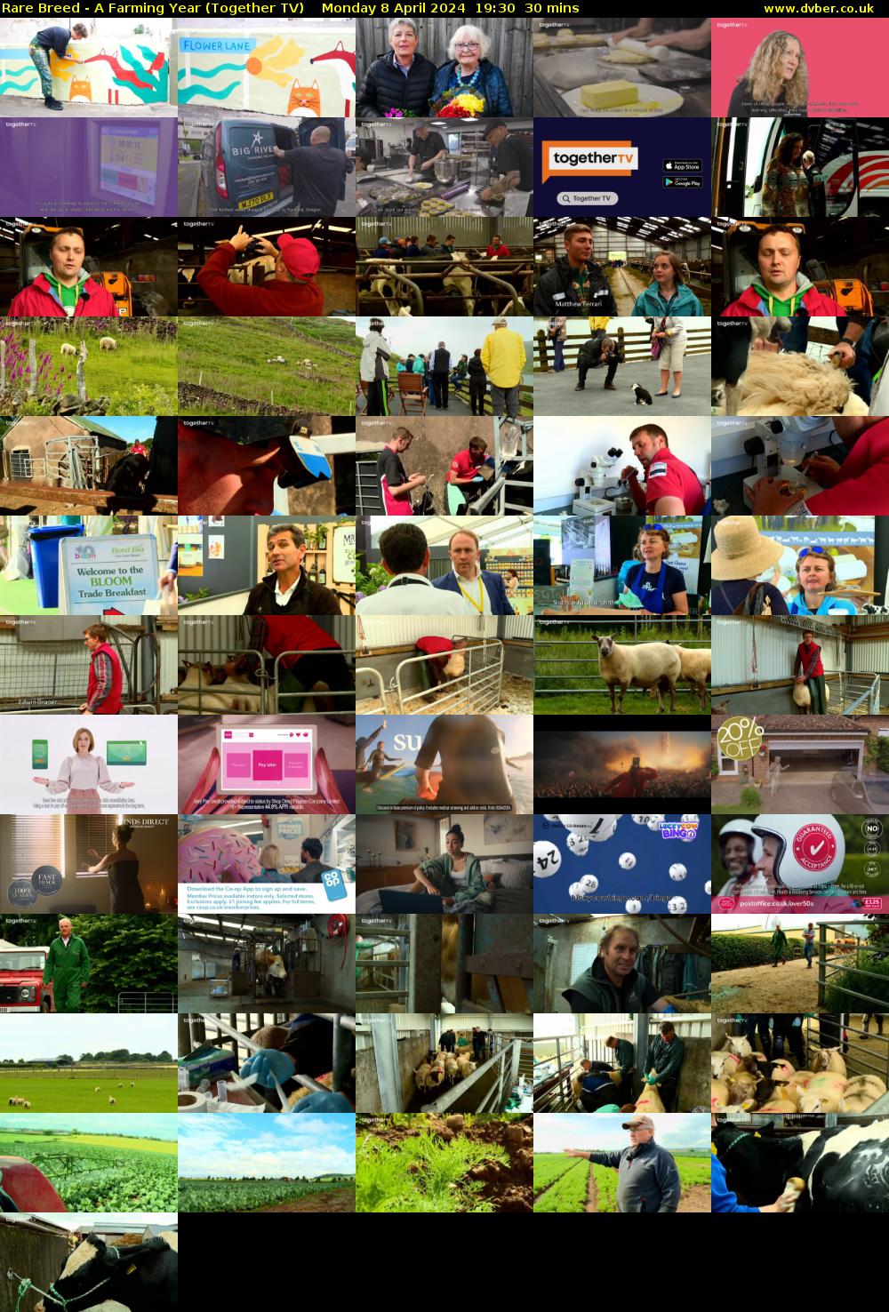 Rare Breed - A Farming Year (Together TV) Monday 8 April 2024 19:30 - 20:00