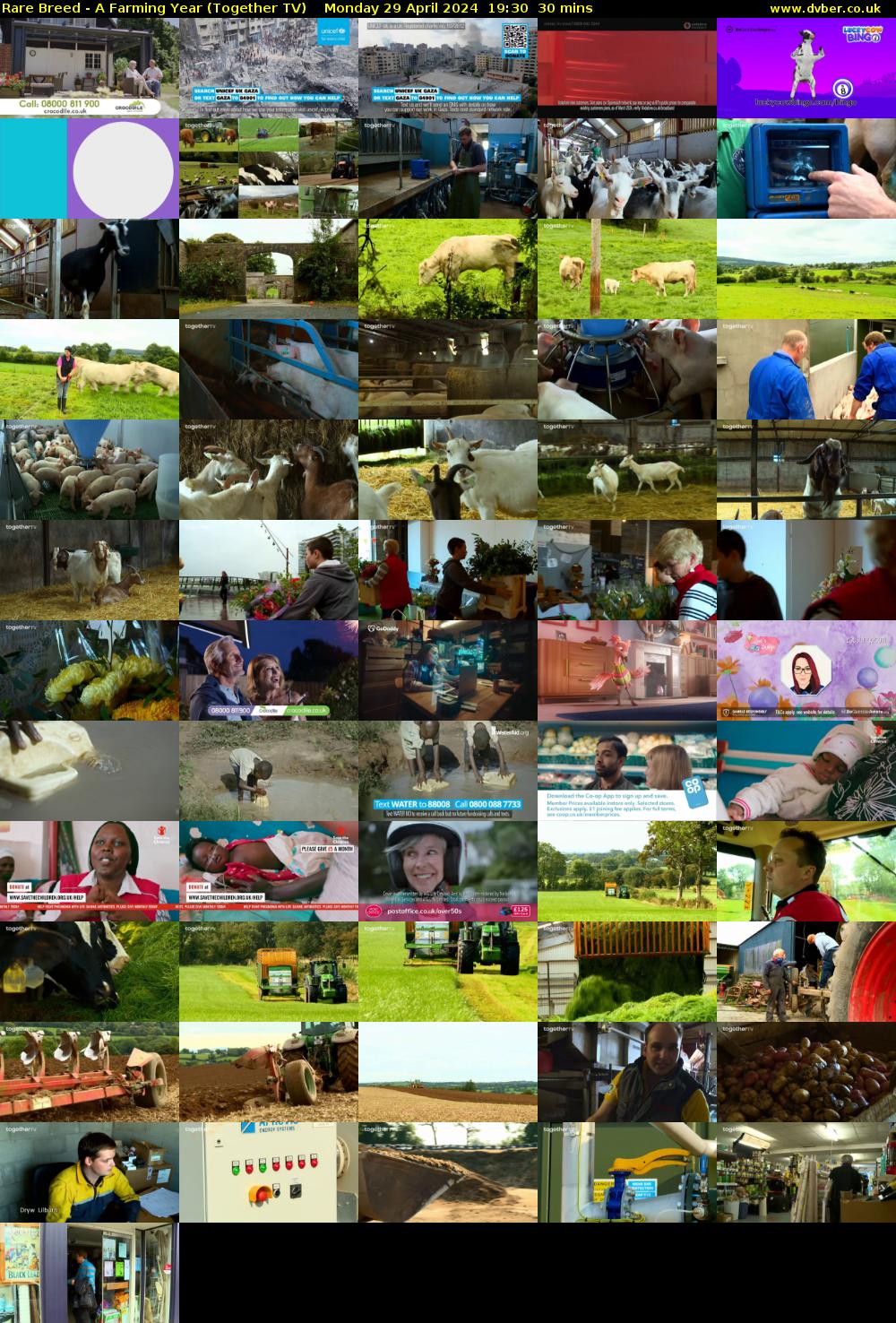 Rare Breed - A Farming Year (Together TV) Monday 29 April 2024 19:30 - 20:00