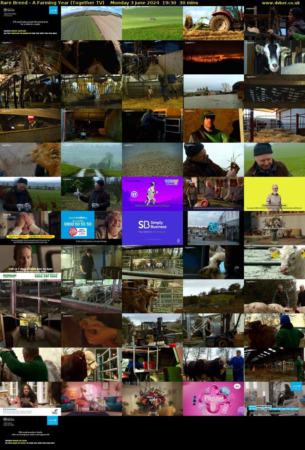 Rare Breed - A Farming Year (Together TV) Monday 3 June 2024 19:30 - 20:00