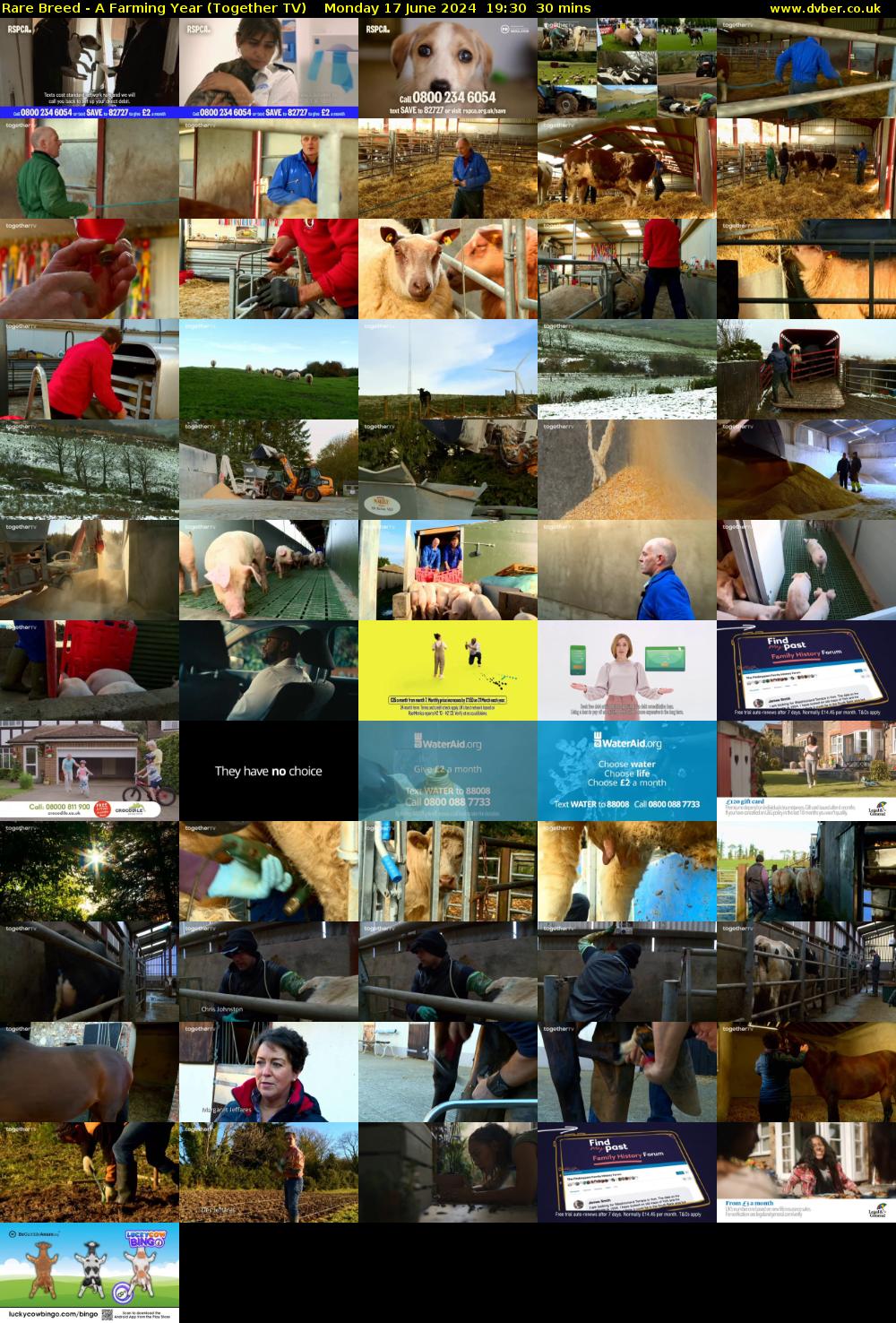 Rare Breed - A Farming Year (Together TV) Monday 17 June 2024 19:30 - 20:00