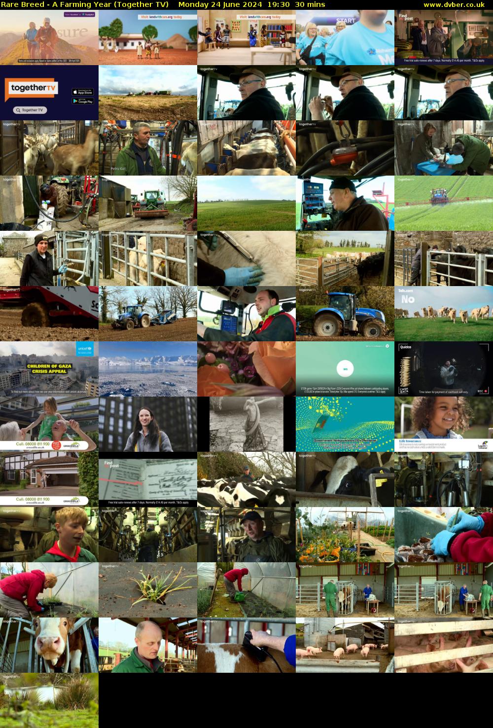 Rare Breed - A Farming Year (Together TV) Monday 24 June 2024 19:30 - 20:00
