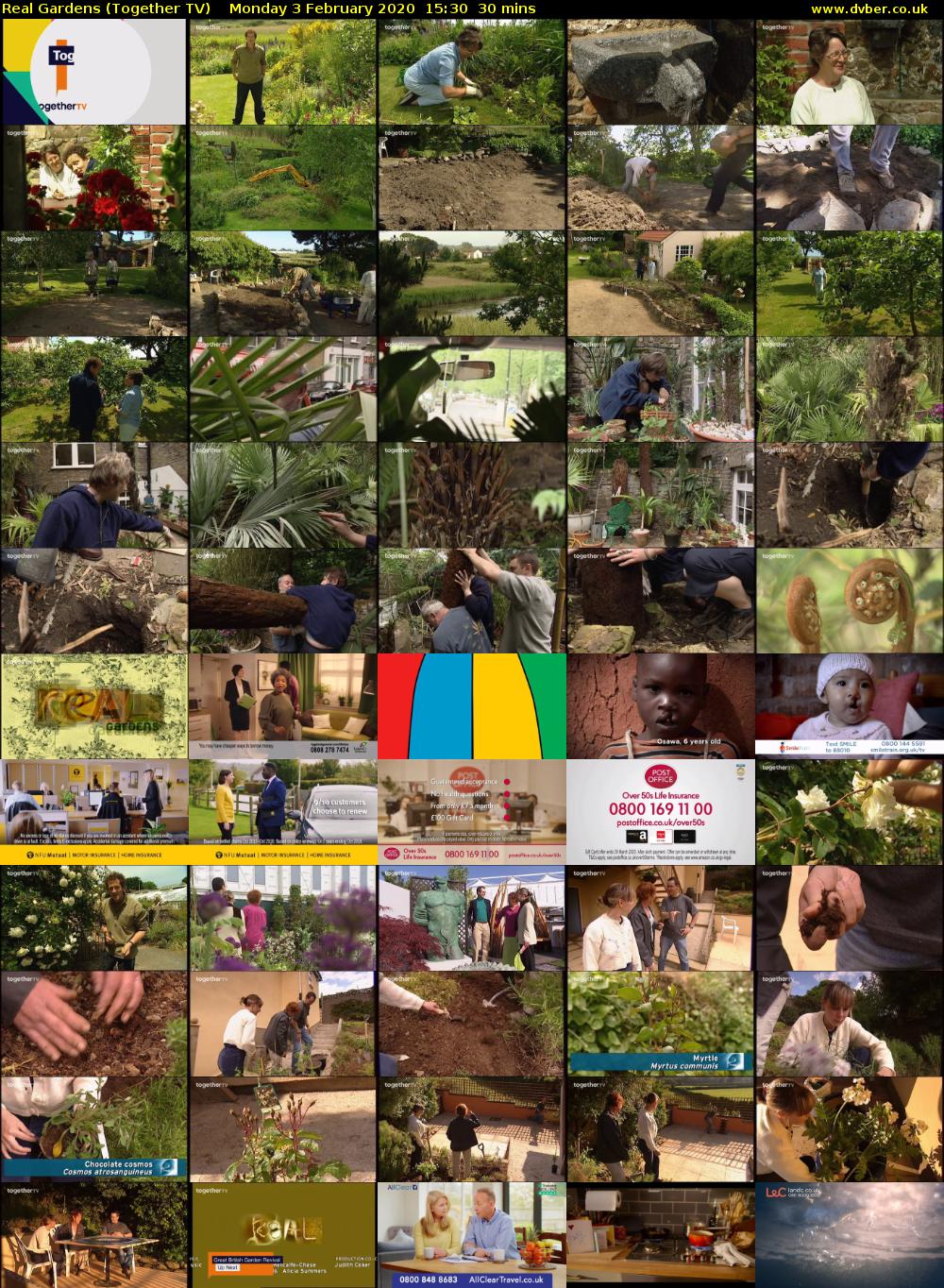 Real Gardens (Together TV) Monday 3 February 2020 15:30 - 16:00