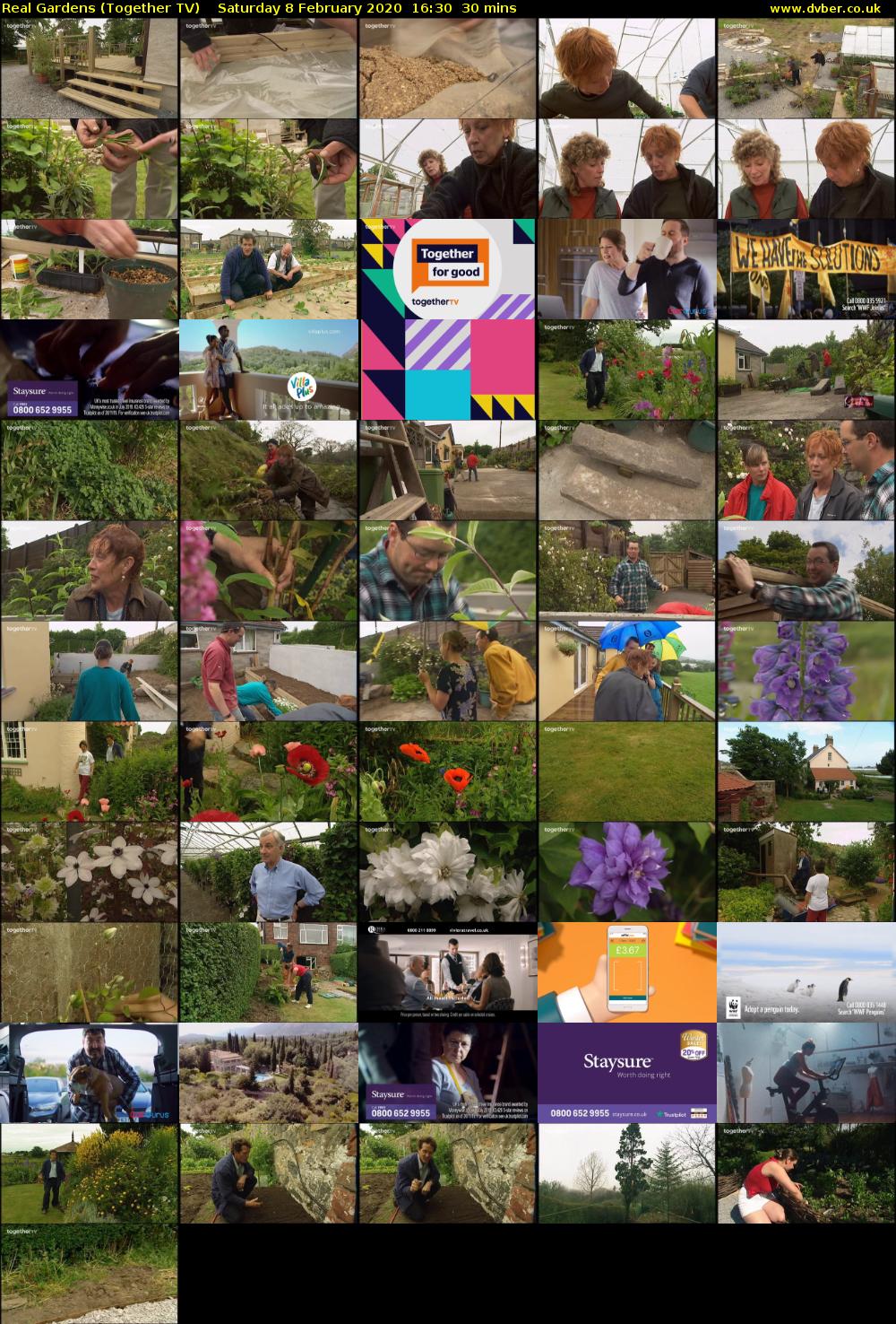 Real Gardens (Together TV) Saturday 8 February 2020 16:30 - 17:00