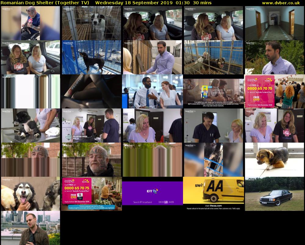 Romanian Dog Shelter (Together TV) Wednesday 18 September 2019 01:30 - 02:00