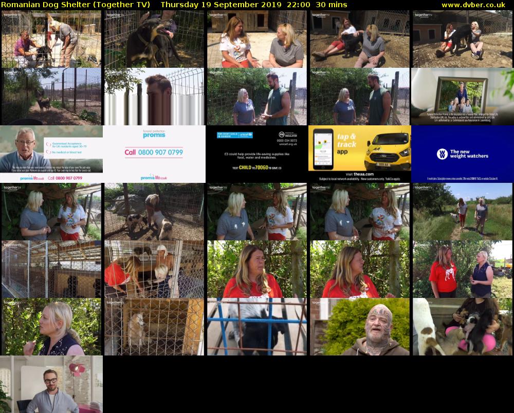 Romanian Dog Shelter (Together TV) Thursday 19 September 2019 22:00 - 22:30