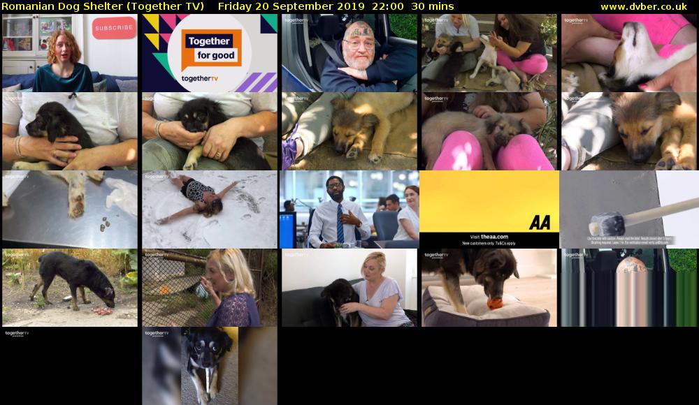 Romanian Dog Shelter (Together TV) Friday 20 September 2019 22:00 - 22:30