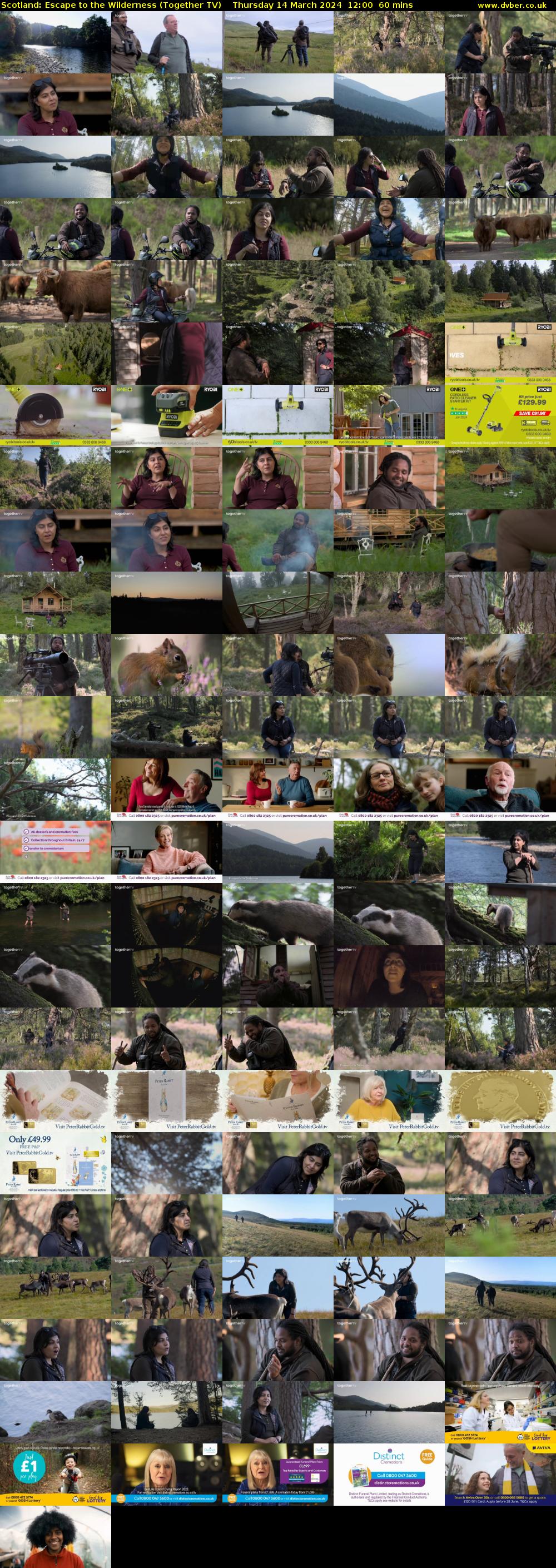 Scotland: Escape to the Wilderness (Together TV) Thursday 14 March 2024 12:00 - 13:00