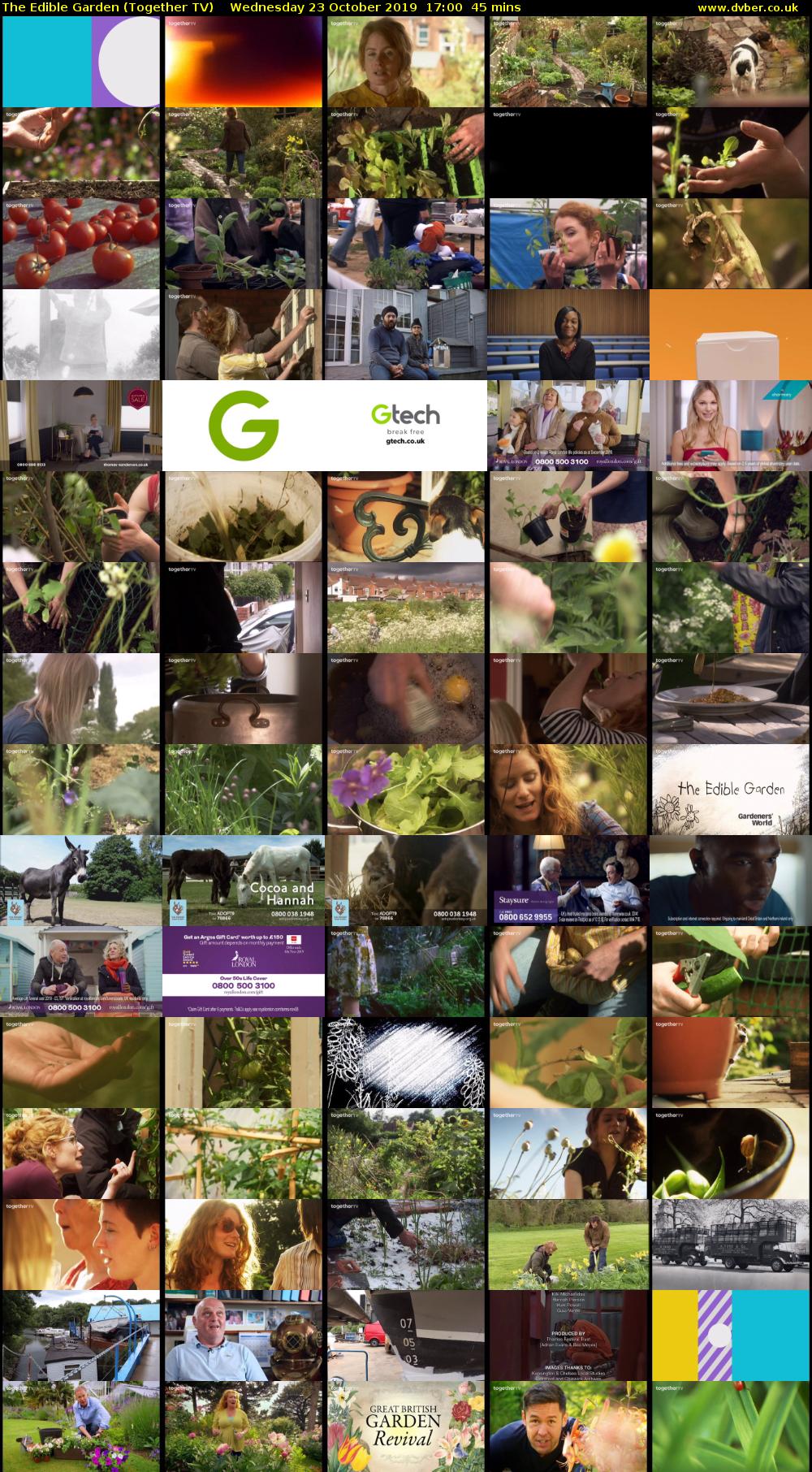 The Edible Garden (Together TV) Wednesday 23 October 2019 17:00 - 17:45