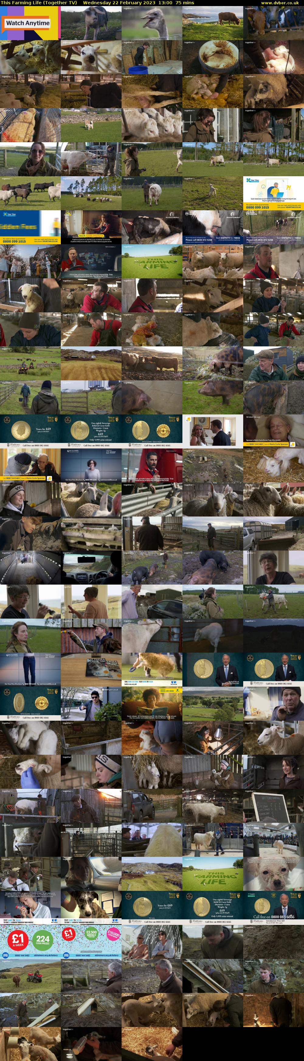 This Farming Life (Together TV) Wednesday 22 February 2023 13:00 - 14:15