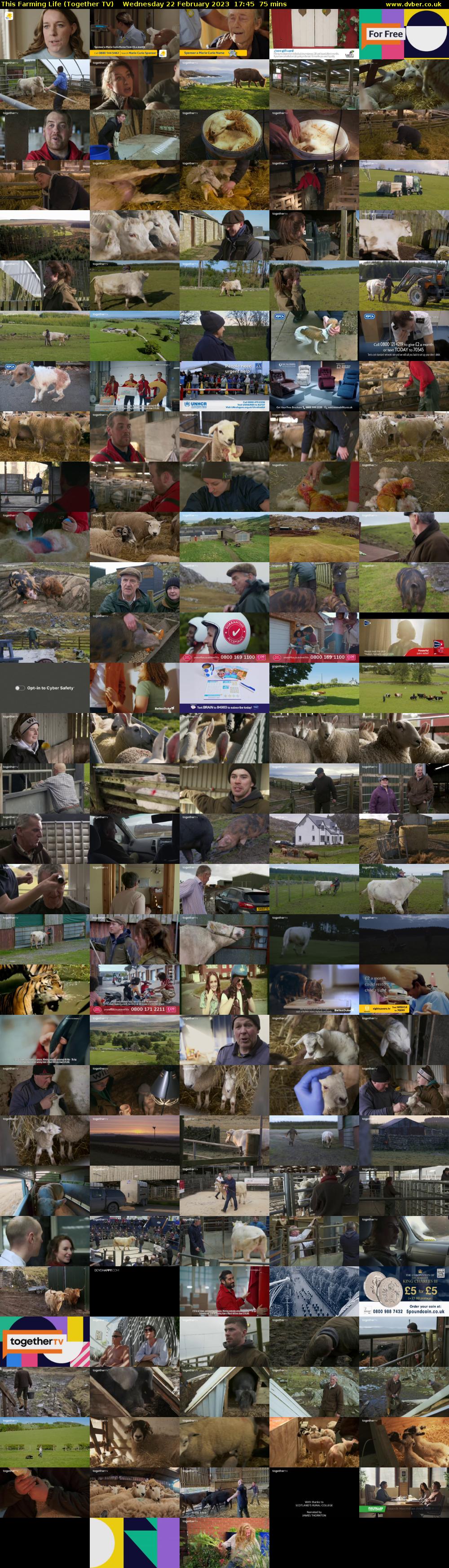 This Farming Life (Together TV) Wednesday 22 February 2023 17:45 - 19:00