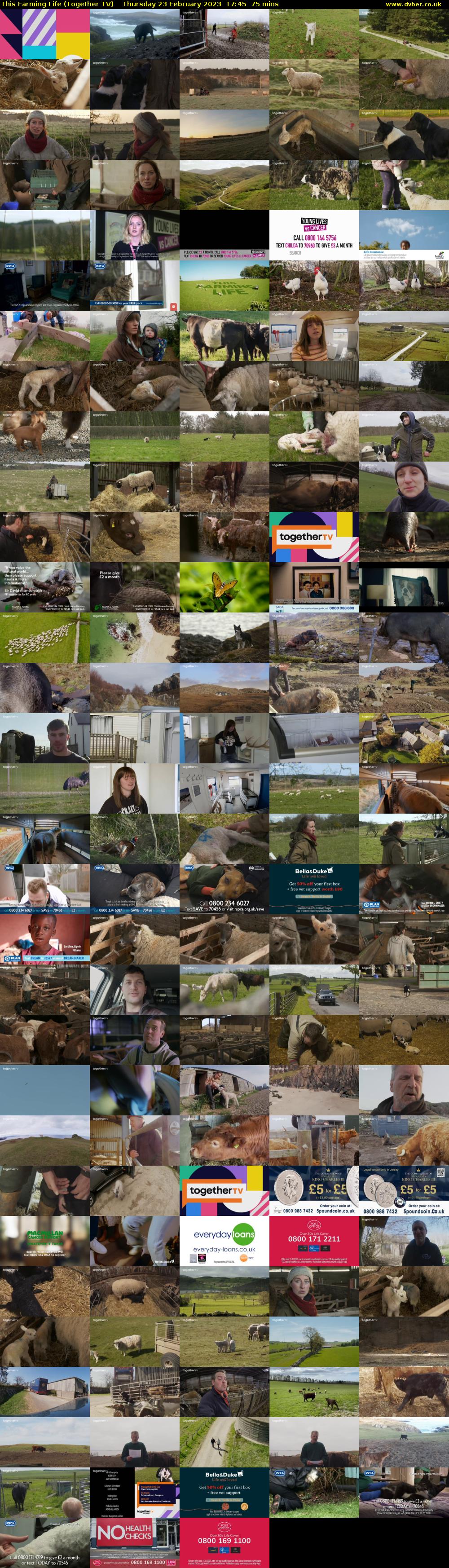 This Farming Life (Together TV) Thursday 23 February 2023 17:45 - 19:00
