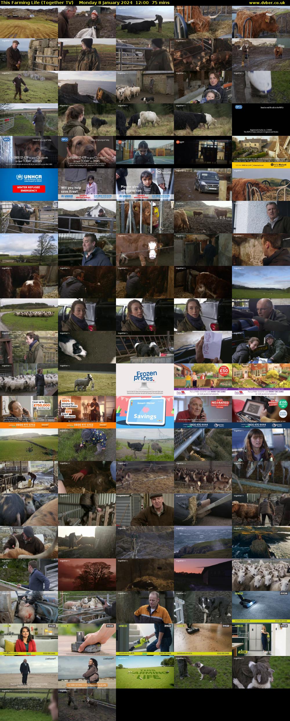 This Farming Life (Together TV) Monday 8 January 2024 12:00 - 13:15