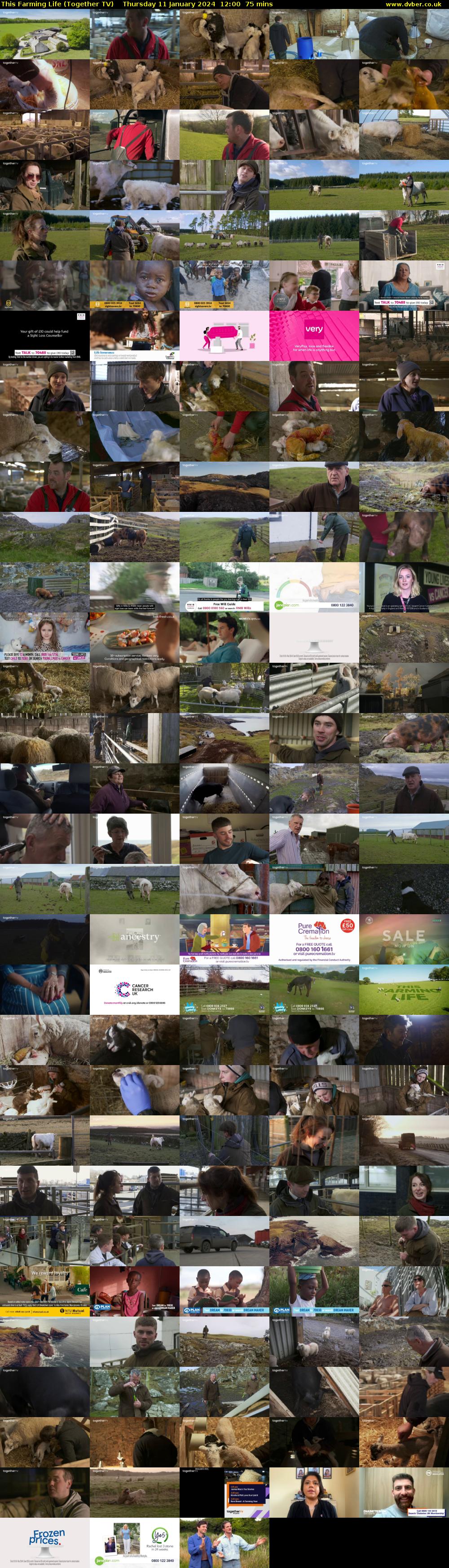 This Farming Life (Together TV) Thursday 11 January 2024 12:00 - 13:15