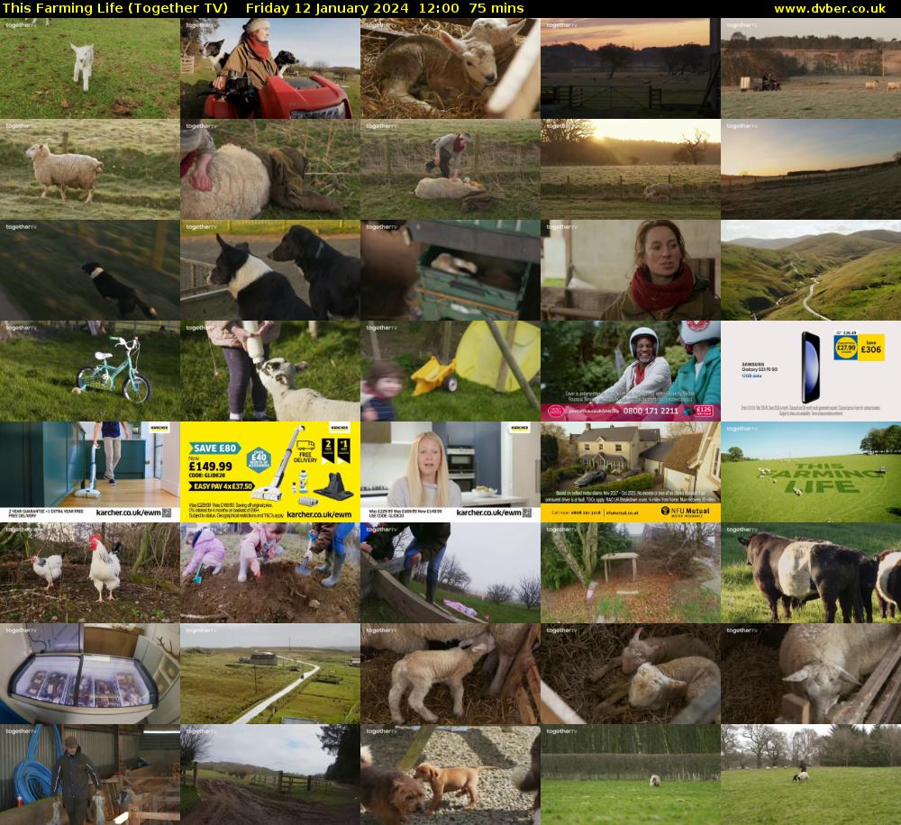 This Farming Life (Together TV) Friday 12 January 2024 12:00 - 13:15