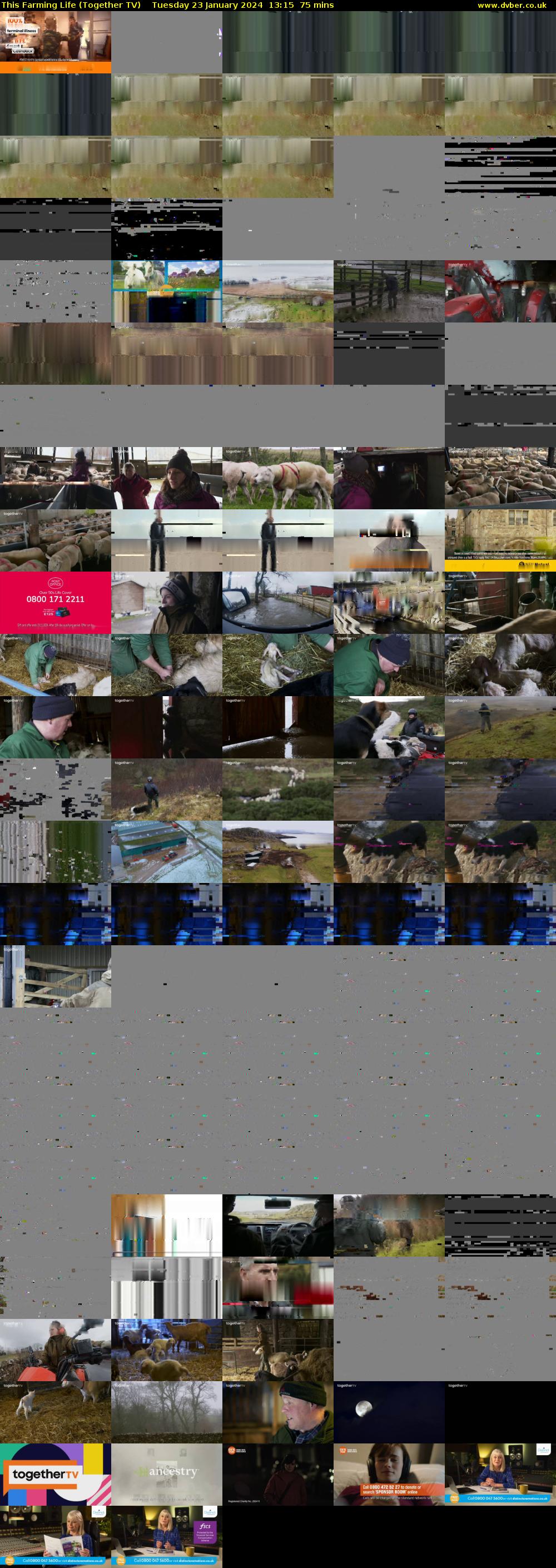 This Farming Life (Together TV) Tuesday 23 January 2024 13:15 - 14:30