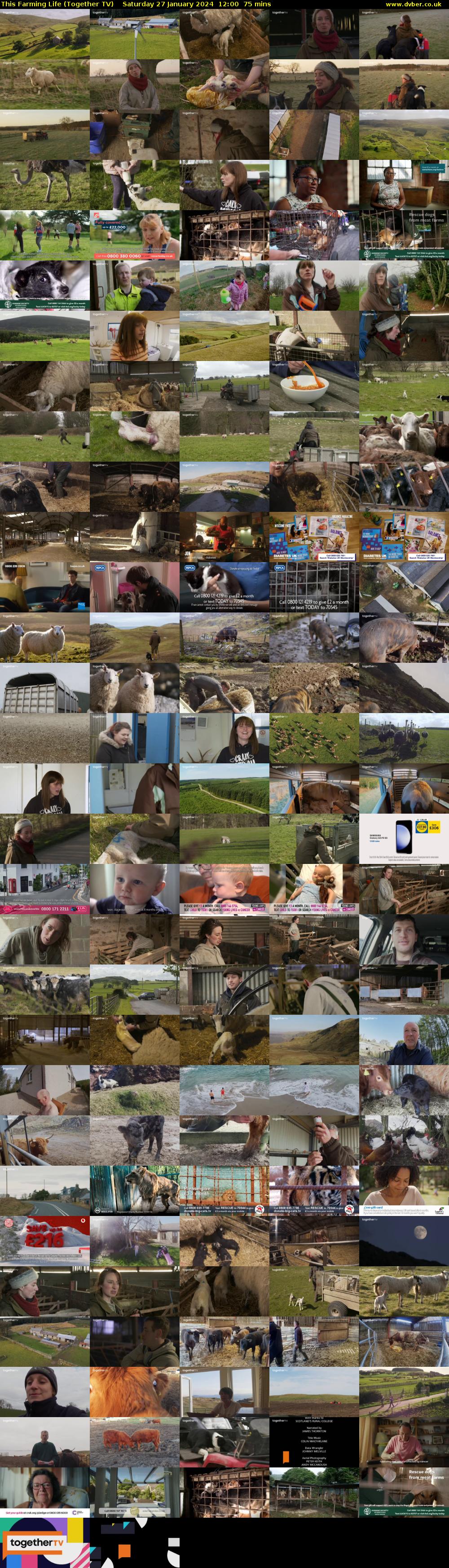 This Farming Life (Together TV) Saturday 27 January 2024 12:00 - 13:15