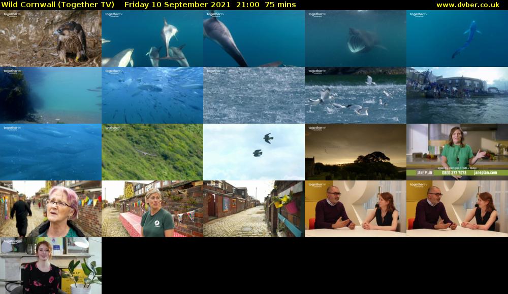 Wild Cornwall (Together TV) Friday 10 September 2021 22:00 - 23:15