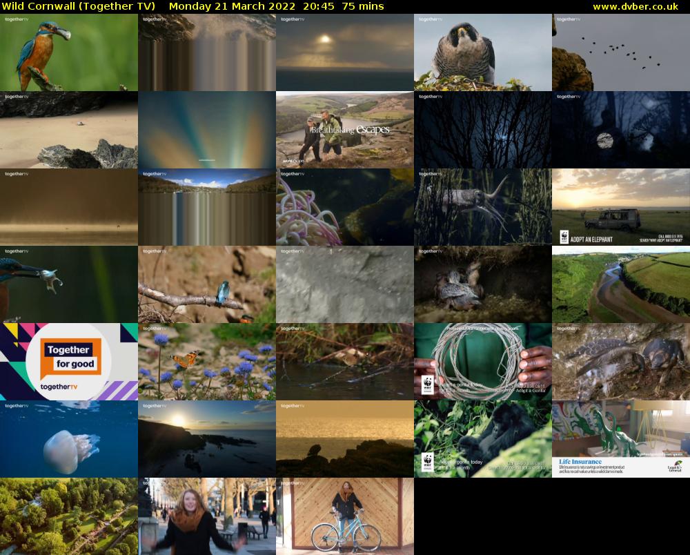 Wild Cornwall (Together TV) Monday 21 March 2022 20:45 - 22:00