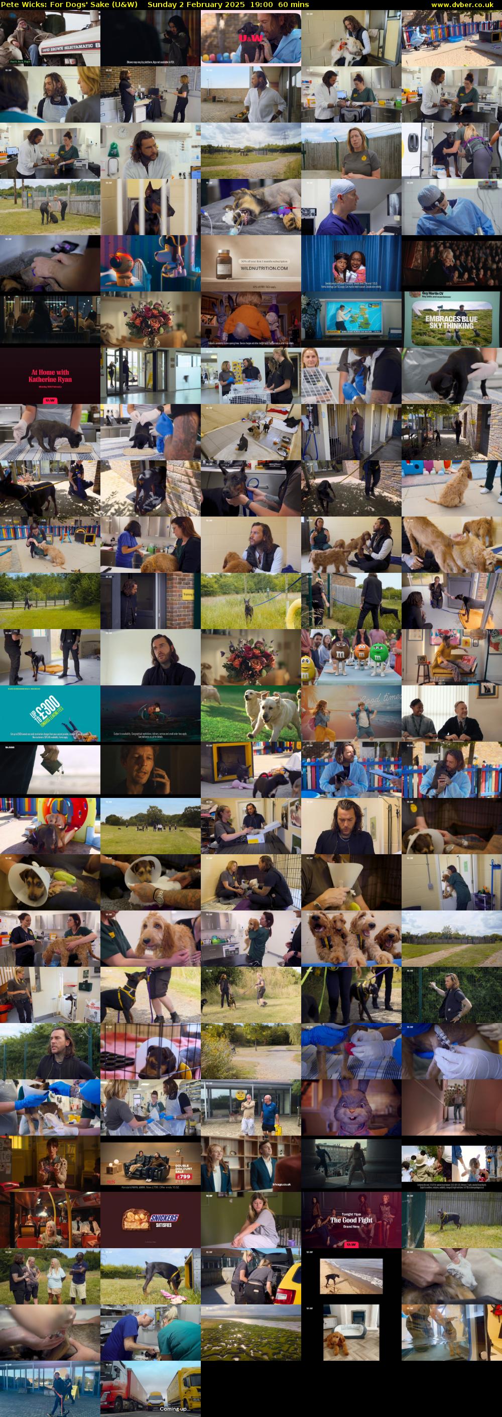 Pete Wicks: For Dogs' Sake (U&W) Sunday 2 February 2025 19:00 - 20:00