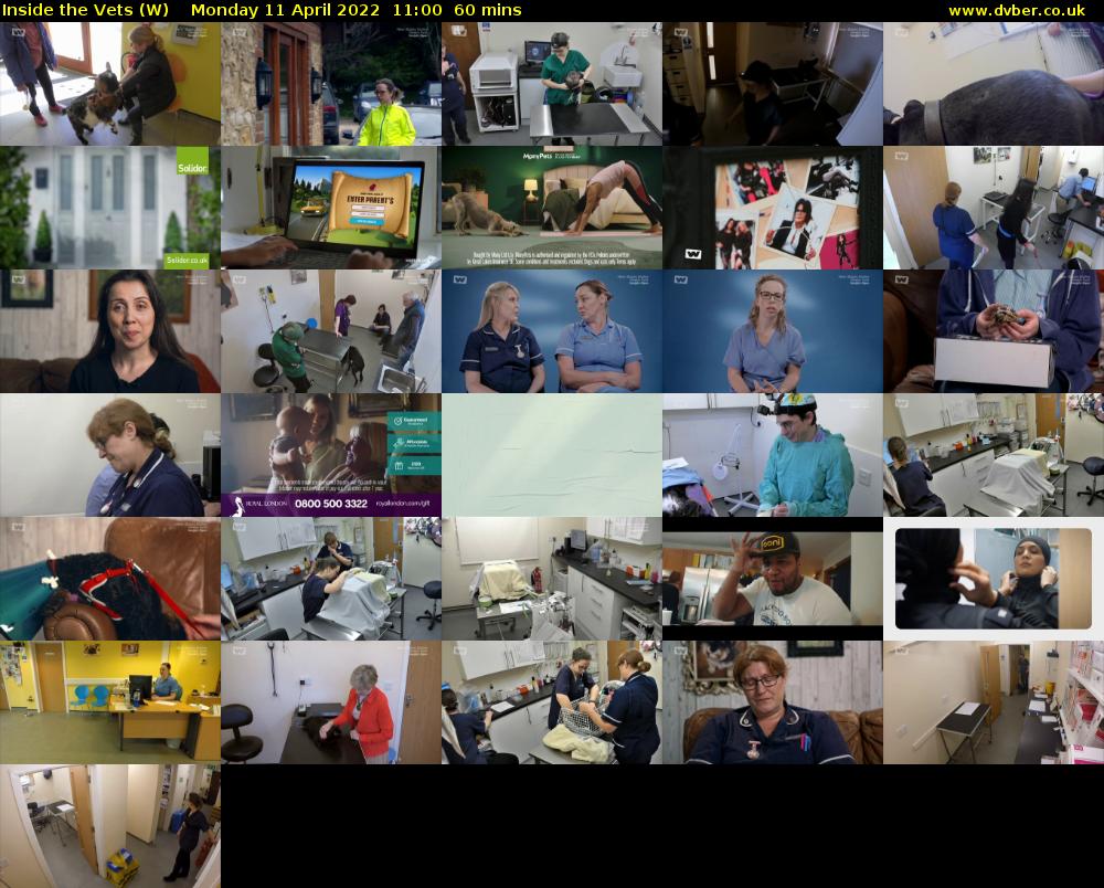 Inside the Vets (W) Monday 11 April 2022 11:00 - 12:00