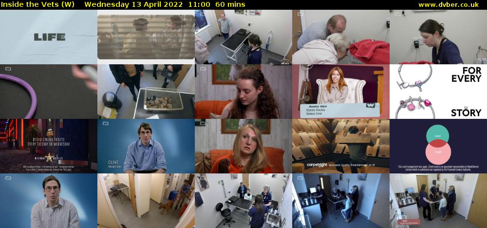 Inside the Vets (W) Wednesday 13 April 2022 11:00 - 12:00