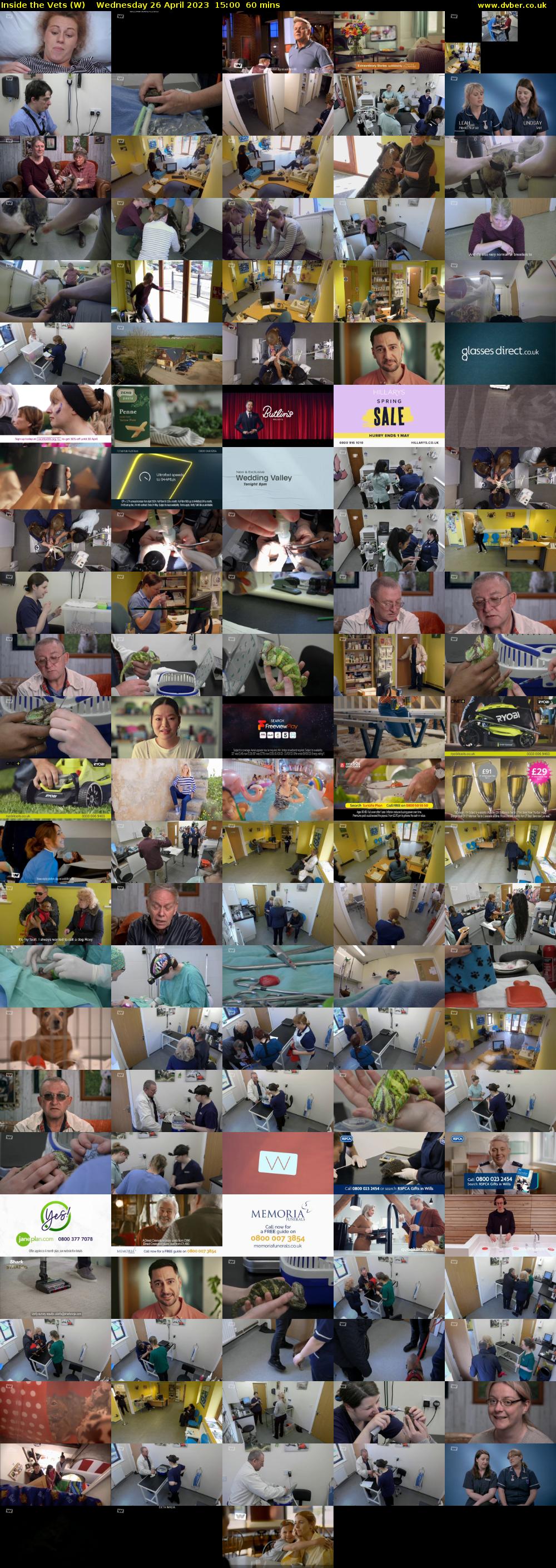 Inside the Vets (W) Wednesday 26 April 2023 15:00 - 16:00