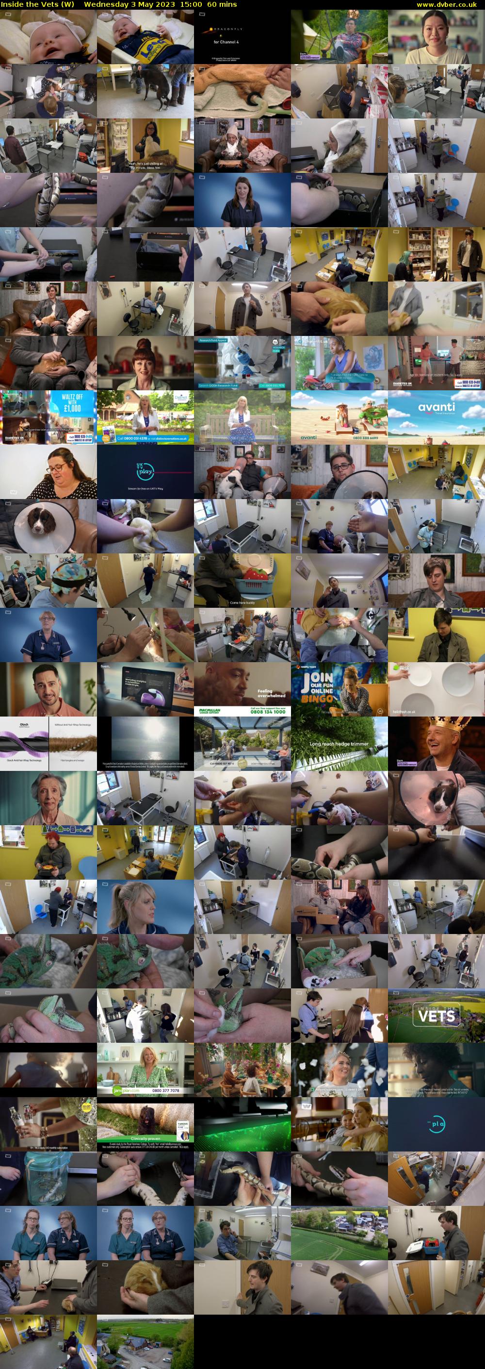Inside the Vets (W) Wednesday 3 May 2023 15:00 - 16:00