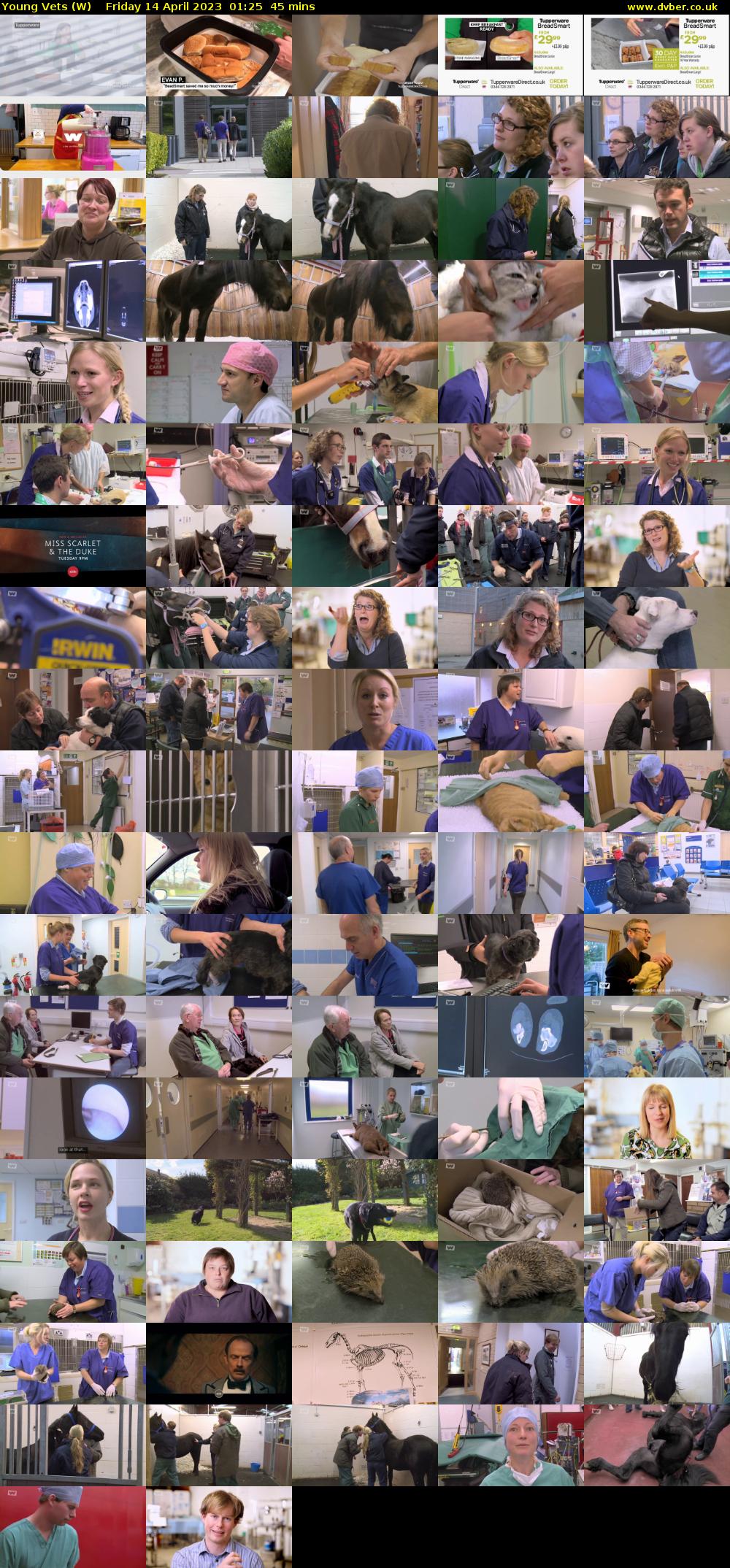 Young Vets (W) Friday 14 April 2023 01:25 - 02:10