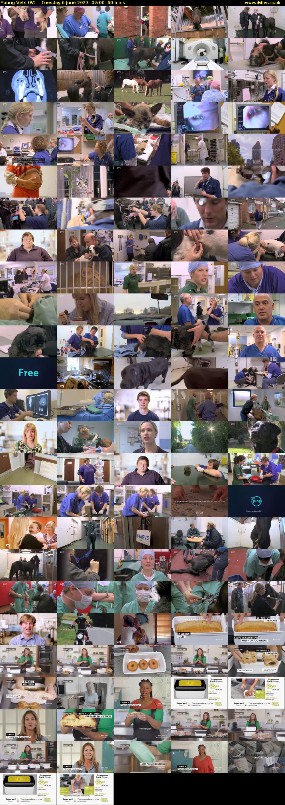 Young Vets (W) Tuesday 6 June 2023 02:00 - 03:00