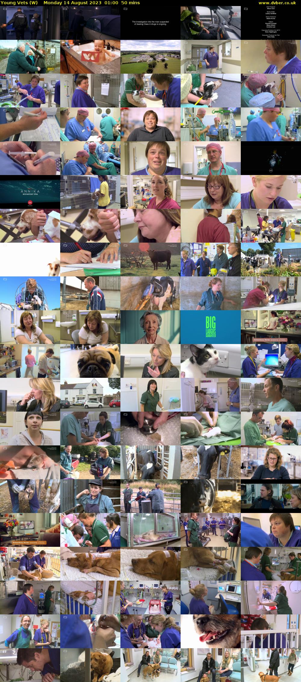 Young Vets (W) Monday 14 August 2023 01:00 - 01:50