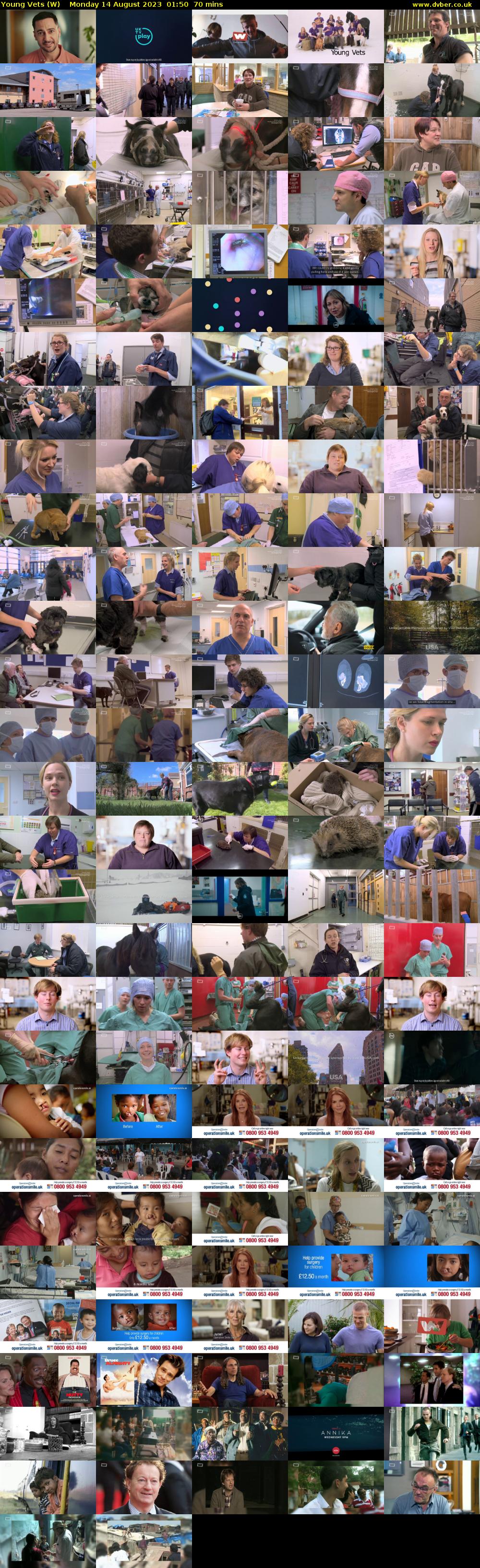 Young Vets (W) Monday 14 August 2023 01:50 - 03:00