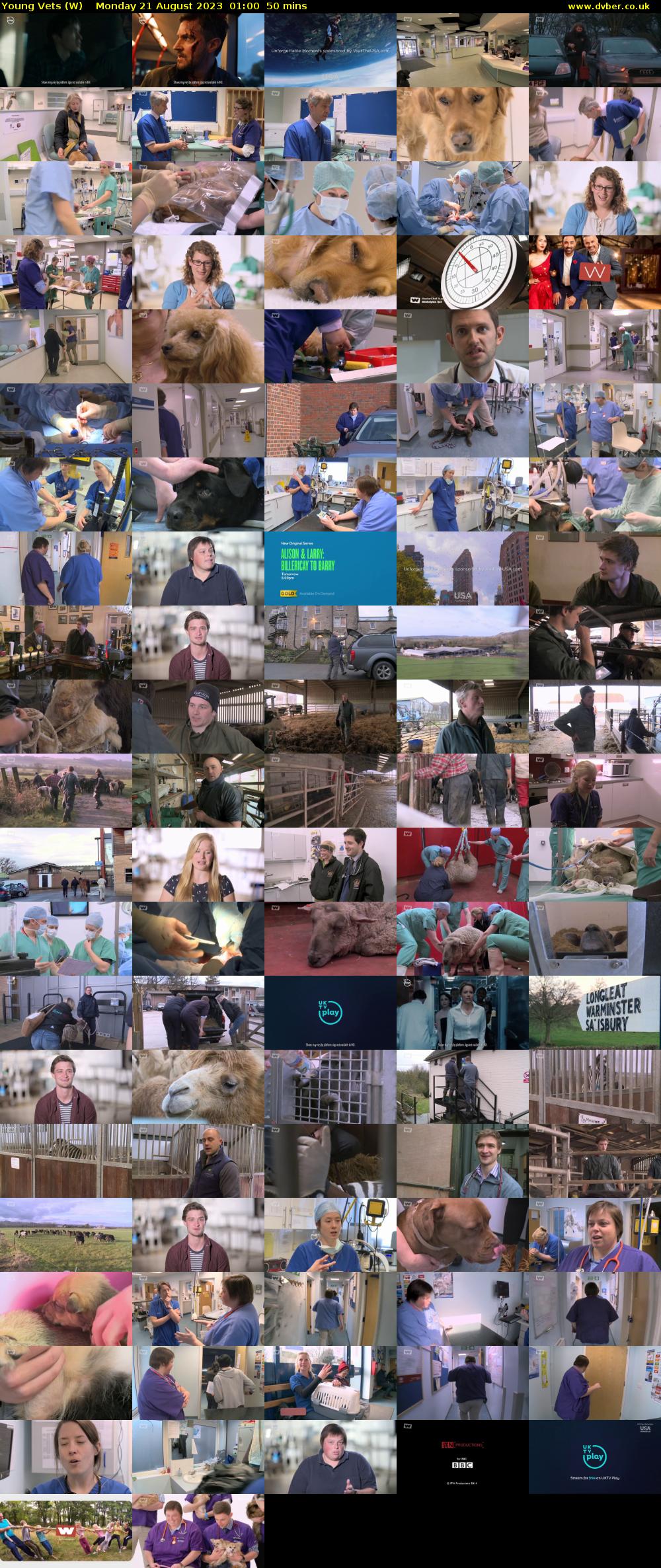 Young Vets (W) Monday 21 August 2023 01:00 - 01:50