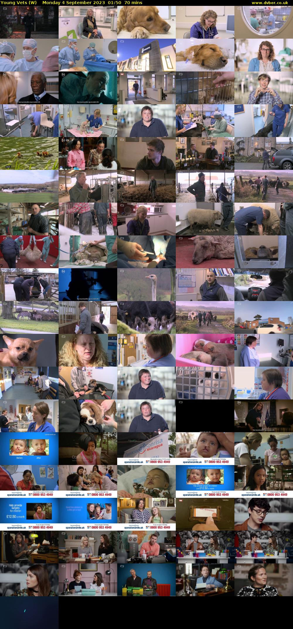 Young Vets (W) Monday 4 September 2023 01:50 - 03:00