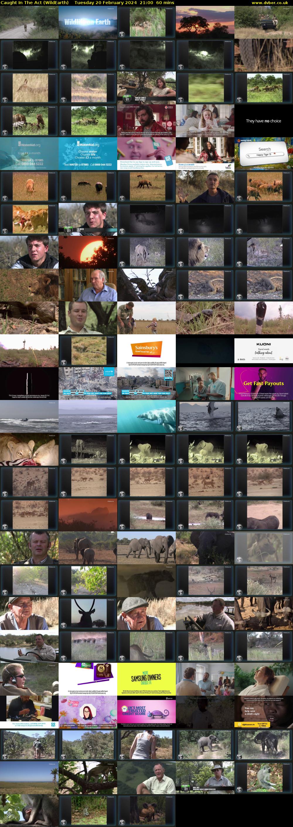 Caught In The Act (WildEarth) Tuesday 20 February 2024 21:00 - 22:00