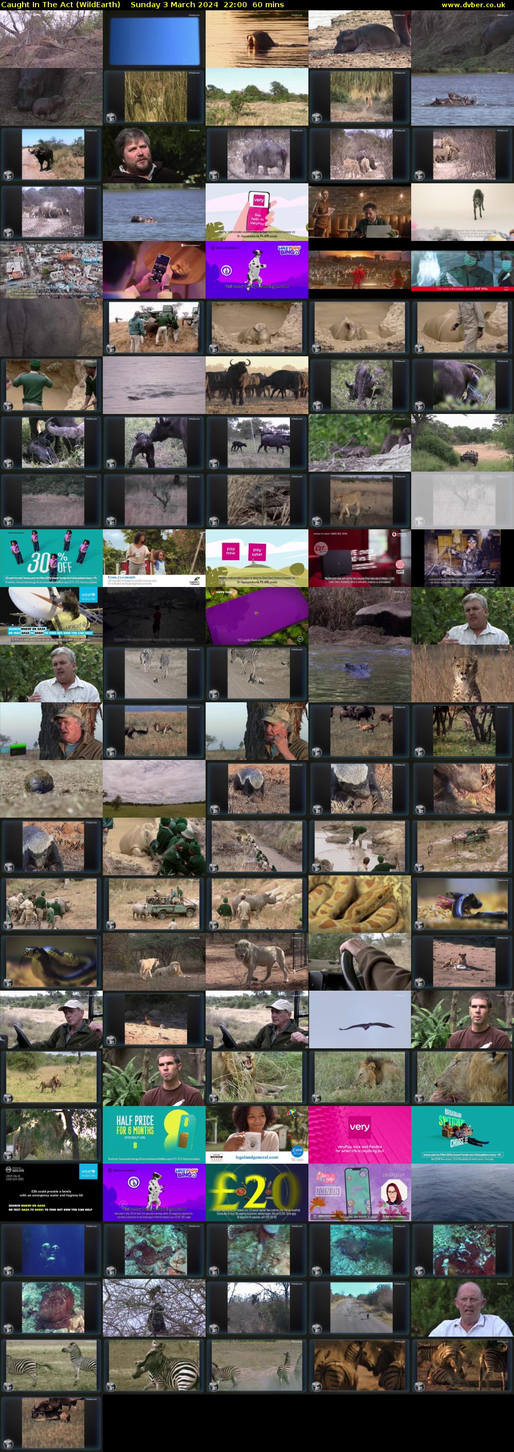 Caught In The Act (WildEarth) Sunday 3 March 2024 22:00 - 23:00