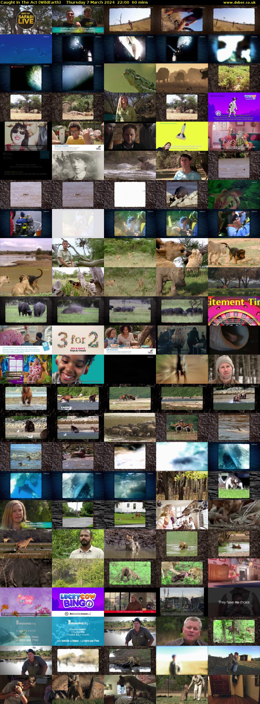 Caught In The Act (WildEarth) Thursday 7 March 2024 22:00 - 23:00