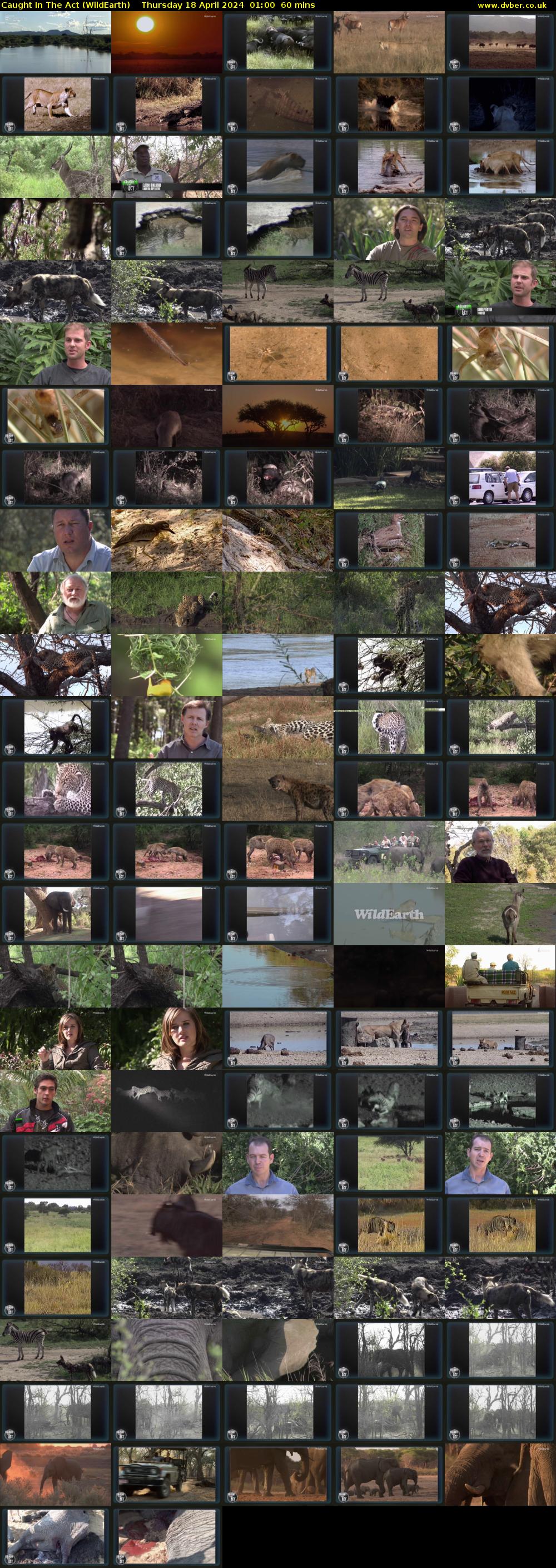 Caught In The Act (WildEarth) Thursday 18 April 2024 01:00 - 02:00