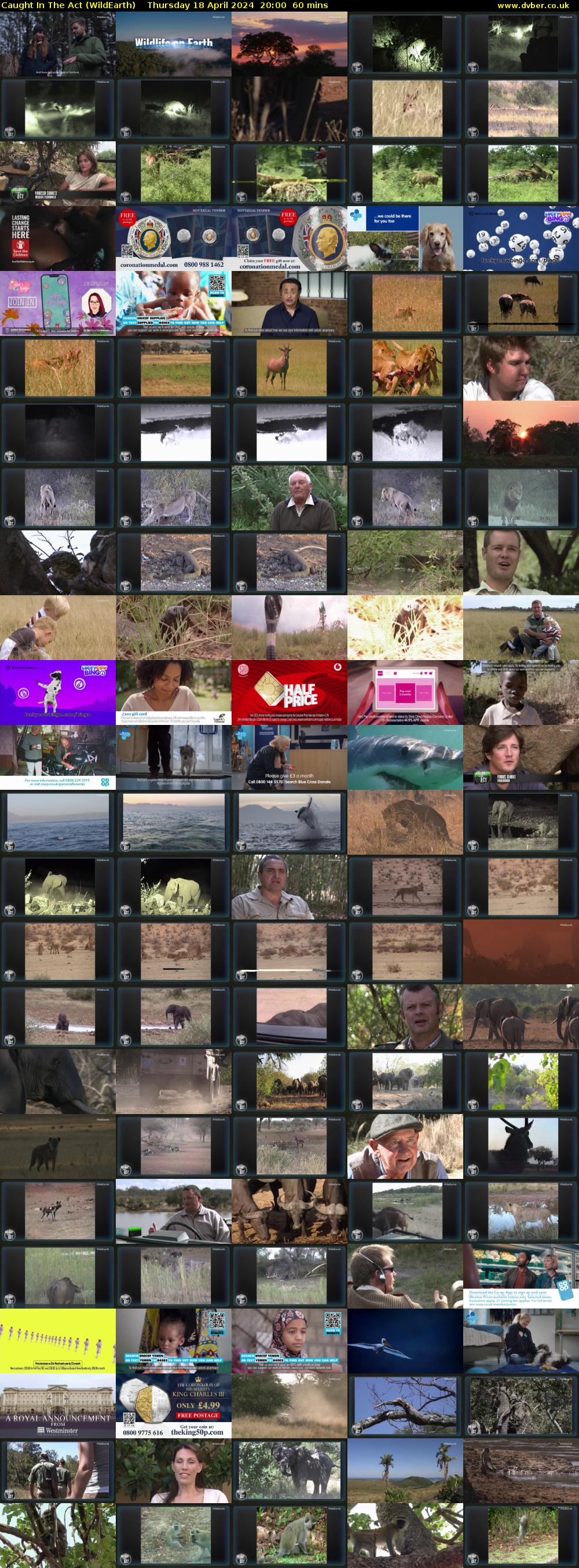 Caught In The Act (WildEarth) Thursday 18 April 2024 20:00 - 21:00