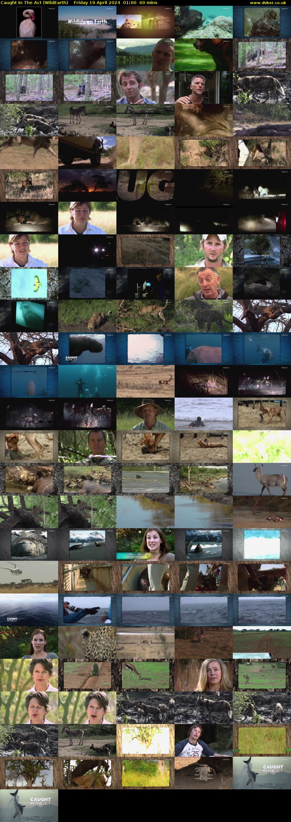 Caught In The Act (WildEarth) Friday 19 April 2024 01:00 - 02:00