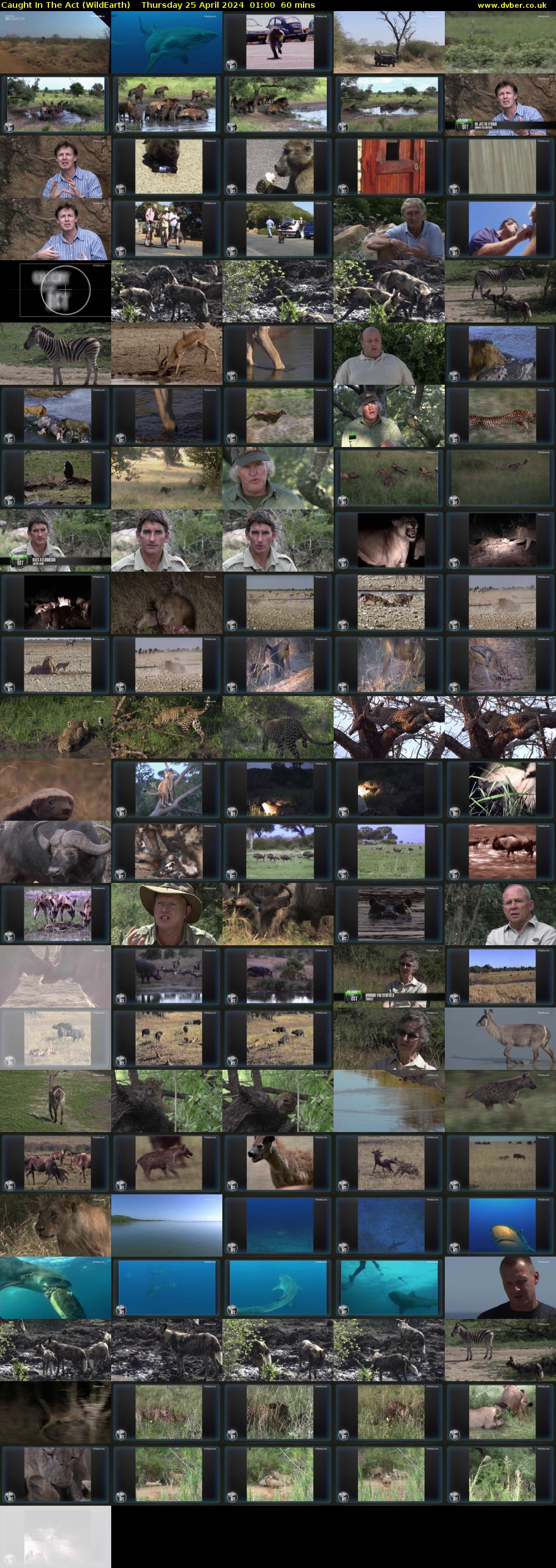 Caught In The Act (WildEarth) Thursday 25 April 2024 01:00 - 02:00