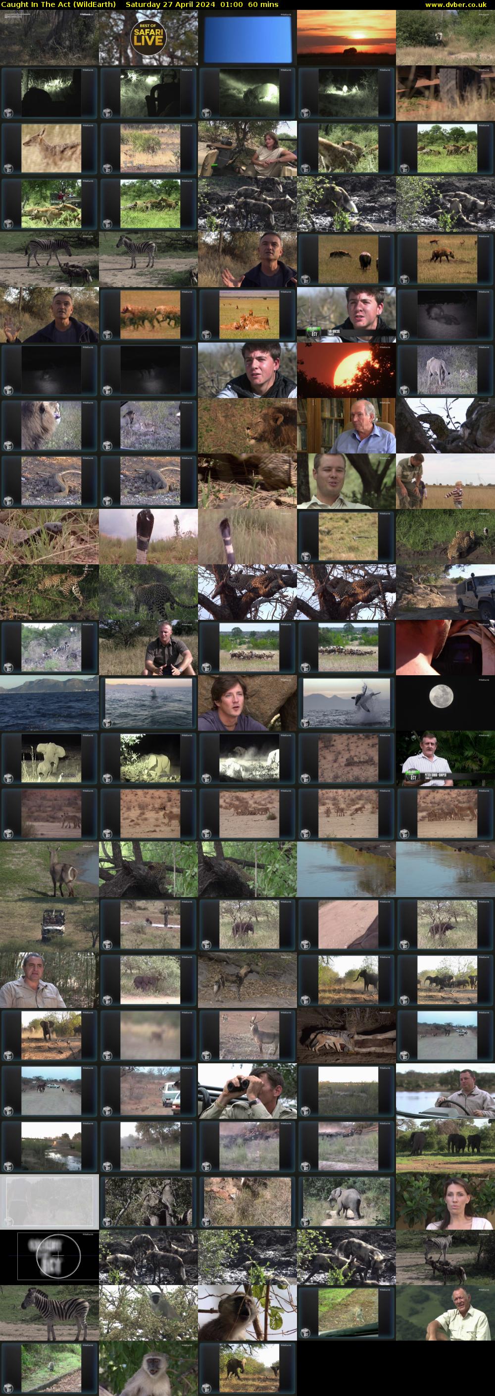 Caught In The Act (WildEarth) Saturday 27 April 2024 01:00 - 02:00