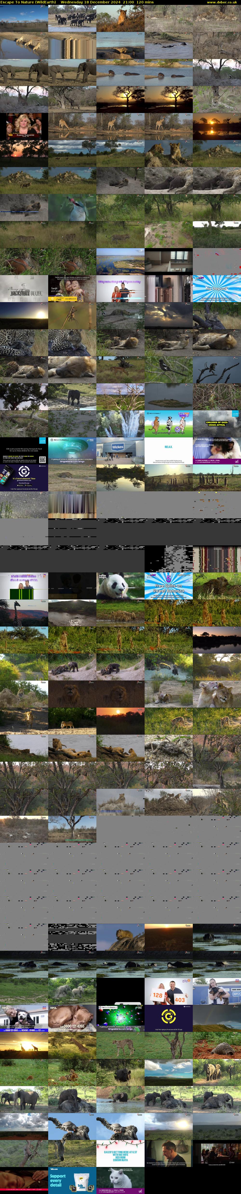Escape To Nature (WildEarth) Wednesday 18 December 2024 21:00 - 23:00