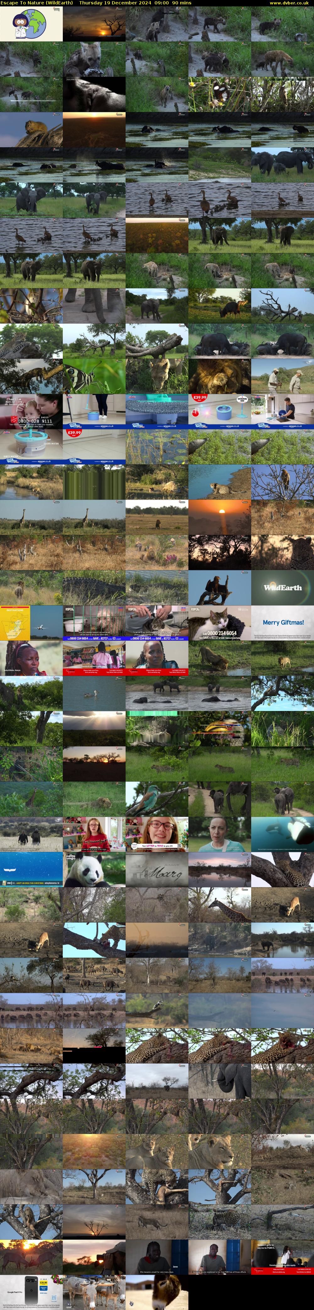 Escape To Nature (WildEarth) Thursday 19 December 2024 09:00 - 10:30