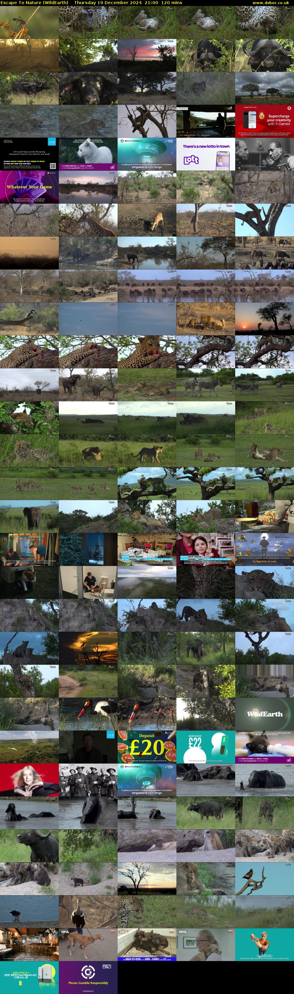 Escape To Nature (WildEarth) Thursday 19 December 2024 21:00 - 23:00