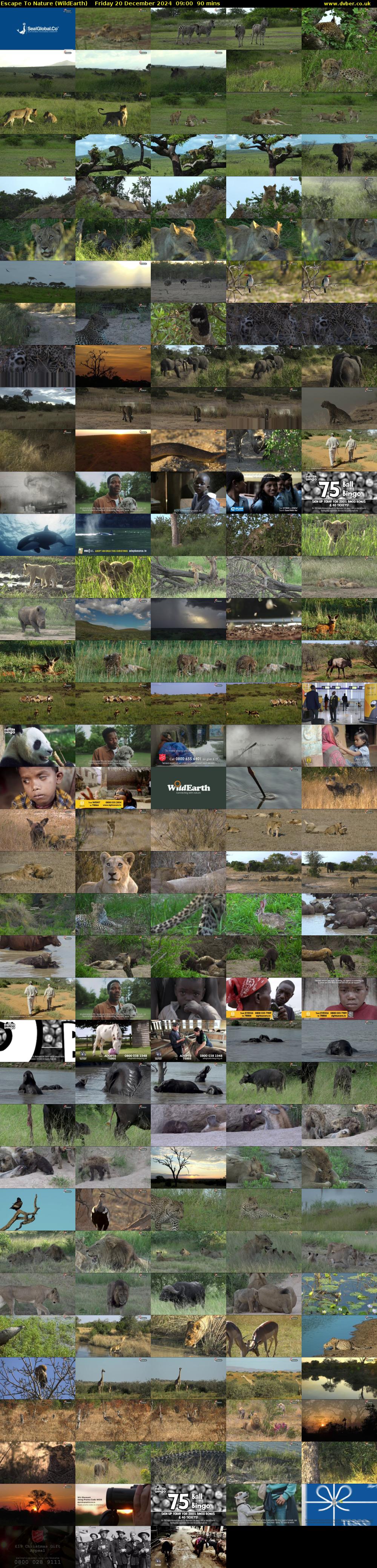 Escape To Nature (WildEarth) Friday 20 December 2024 09:00 - 10:30
