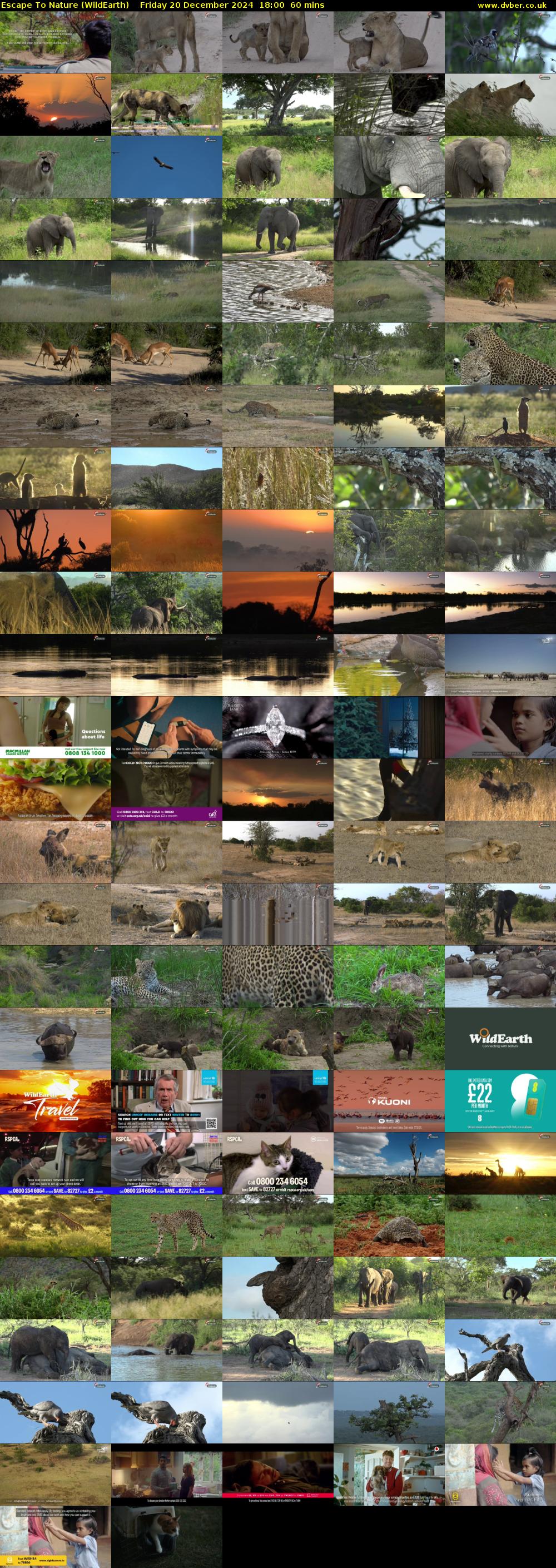 Escape To Nature (WildEarth) Friday 20 December 2024 18:00 - 19:00